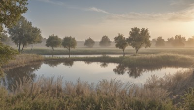 outdoors,sky,day,cloud,water,tree,blue sky,no humans,grass,plant,nature,scenery,forest,reflection,sunset,river,landscape,sunlight,cloudy sky,lake,reflective water