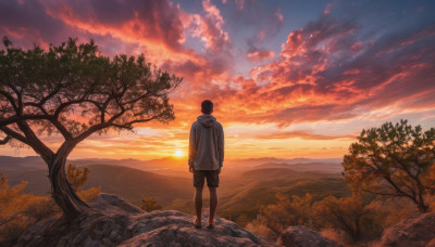 solo, black hair, 1boy, standing, male focus, outdoors, sky, shorts, cloud, hood, from behind, tree, hoodie, hood down, cloudy sky, nature, scenery, sunset, orange sky