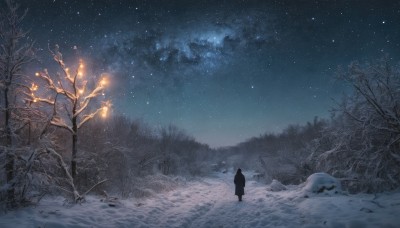 solo,1boy,standing,outdoors,sky,cloud,from behind,tree,night,star (sky),nature,night sky,scenery,snow,forest,starry sky,snowing,dark,wide shot,winter,bare tree,footprints,pine tree,1girl,signature,coat,winter clothes,milky way