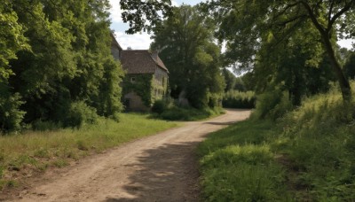 outdoors,sky,day,cloud,tree,blue sky,no humans,shadow,sunlight,grass,building,nature,scenery,forest,road,bush,wall,house,path,plant