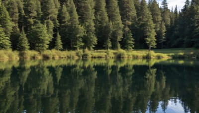 outdoors,sky,day,cloud,water,tree,blue sky,no humans,sunlight,grass,nature,scenery,forest,reflection,river,landscape,lake,reflective water,signature,cloudy sky