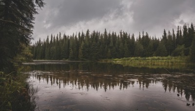 outdoors,sky,day,cloud,water,tree,no humans,bird,cloudy sky,grass,nature,scenery,forest,reflection,river,landscape,lake,fog,grey sky,pine tree,mountain,reflective water