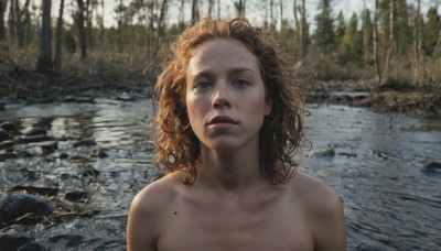 1girl,solo,long hair,looking at viewer,blue eyes,brown hair,collarbone,upper body,nude,outdoors,day,water,mole,blurry,tree,lips,wet,messy hair,portrait,nature,forest,freckles,curly hair,realistic,dirty,river,breasts,blonde hair,bare shoulders,parted lips,blurry background,lake,mole on cheek