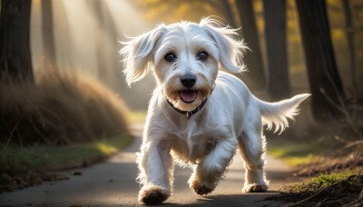 HQ,solo,open mouth,blue eyes,full body,outdoors,day,tongue,tongue out,blurry,collar,tree,no humans,depth of field,blurry background,animal,fangs,sunlight,grass,nature,forest,dog,light rays,realistic,animal focus,looking at viewer,brown eyes,standing,signature,white fur,animal collar