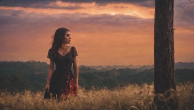 1girl,solo,long hair,breasts,black hair,dress,cleavage,medium breasts,standing,weapon,short sleeves,outdoors,sky,cloud,black dress,tree,makeup,bird,cloudy sky,grass,lipstick,nature,scenery,sunset,mountain,brown hair,holding,flower,artist name,field,hill