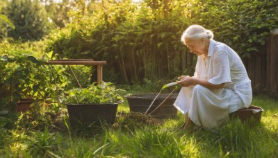 1girl,solo,short hair,1boy,dress,holding,sitting,closed eyes,white hair,outdoors,barefoot,day,dark skin,hair bun,white dress,blurry,from side,tree,profile,facial hair,single hair bun,grass,plant,nature,scenery,forest,old,old man,old woman,garden,shirt,white shirt,male focus,looking down,sunlight,squatting,realistic