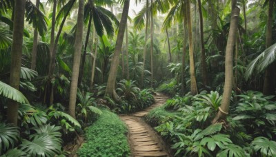 outdoors,day,tree,no humans,leaf,traditional media,sunlight,grass,plant,nature,scenery,forest,palm tree,bush,green theme,road,path