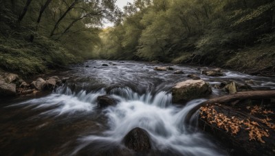 outdoors,day,water,tree,no humans,sunlight,nature,scenery,forest,rock,river,waterfall,stream,light rays,landscape