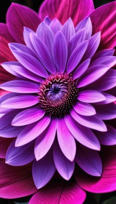 simple background,flower,blurry,no humans,depth of field,leaf,black background,pink flower,purple flower,still life,signature,plant,red flower,light particles,realistic,lotus