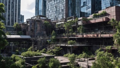 outdoors,sky,day,cloud,tree,no humans,window,building,scenery,city,cityscape,ruins,skyscraper,overgrown,real world location,post-apocalypse,blue sky,power lines