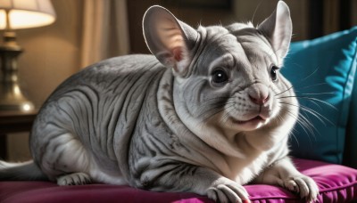 HQ,solo,looking at viewer,closed mouth,full body,lying,indoors,blurry,black eyes,pillow,no humans,depth of field,blurry background,animal,cat,couch,claws,realistic,lamp,animal focus,whiskers,sitting,signature