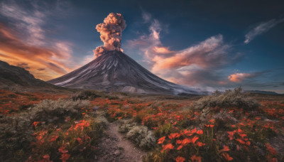 flower, outdoors, sky, cloud, blue sky, no humans, cloudy sky, grass, nature, scenery, sunset, field, flower field