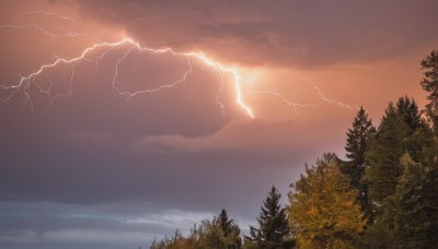 outdoors,sky,cloud,tree,no humans,cloudy sky,nature,scenery,forest,sunset,mountain,electricity,bare tree,lightning,landscape,red sky,water,ocean,horizon