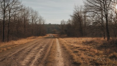 outdoors,sky,day,cloud,tree,no humans,cloudy sky,grass,nature,scenery,forest,realistic,road,field,lamppost,bare tree,landscape,path,ground vehicle,motor vehicle