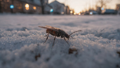 outdoors, blurry, no humans, depth of field, scenery, flying, aircraft, airplane, vehicle focus, spacecraft