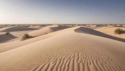 outdoors,sky,day,tree,blue sky,no humans,shadow,beach,scenery,sand,road,desert,plant