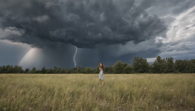 1girl,solo,long hair,brown hair,dress,standing,outdoors,sky,day,cloud,signature,white dress,tree,cloudy sky,grass,nature,scenery,forest,field,wide shot,black hair,holding,sleeveless,from side,profile,sleeveless dress,sunlight,rain,sundress,rainbow,flower field,lightning