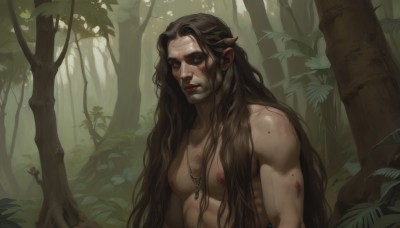 solo,long hair,looking at viewer,brown hair,black hair,1boy,brown eyes,jewelry,closed mouth,nipples,upper body,male focus,nude,outdoors,pointy ears,necklace,tree,lips,blood,muscular,facial hair,abs,thick eyebrows,pectorals,plant,muscular male,elf,nature,bara,forest,topless male,realistic,chest hair,scar,injury,blood on face