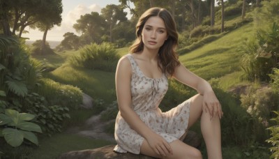 1girl,solo,long hair,breasts,looking at viewer,brown hair,dress,brown eyes,medium breasts,sitting,collarbone,outdoors,sleeveless,day,white dress,tree,lips,sleeveless dress,wavy hair,floral print,sunlight,grass,bug,plant,nature,scenery,forest,knee up,rock,realistic,sundress,cleavage,no humans,bush,hand on own knee