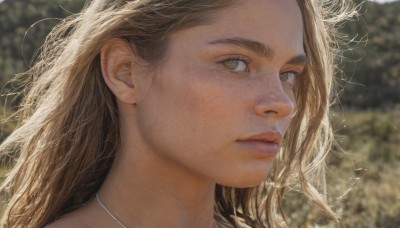 1girl,solo,long hair,looking at viewer,blonde hair,brown hair,brown eyes,jewelry,closed mouth,green eyes,outdoors,parted lips,day,necklace,blurry,lips,looking to the side,depth of field,blurry background,messy hair,portrait,freckles,realistic,nose,mole on cheek,eyelashes,sunlight,wind,close-up