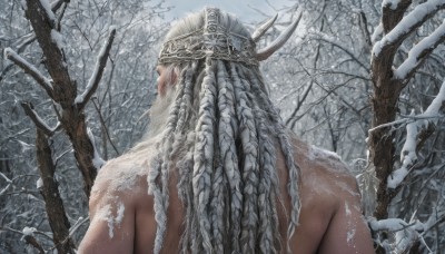 1girl,solo,long hair,1boy,upper body,weapon,braid,white hair,grey hair,male focus,nude,outdoors,horns,sword,from behind,tree,back,helmet,nature,snow,forest,snowing,realistic,branch,facing away,winter,bare tree,sky,crown,beard,antlers