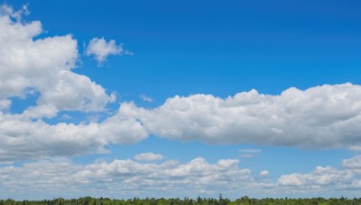 outdoors,sky,day,cloud,tree,blue sky,no humans,cloudy sky,nature,scenery,forest,grass