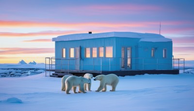 outdoors,sky,cloud,no humans,window,shadow,animal,building,scenery,snow,sunset,dog,mountain,door,house,winter,twilight,evening,gradient sky,purple sky,polar bear,pink sky,fence,animal focus,bear,footprints