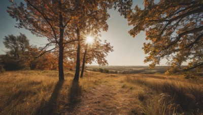 outdoors,sky,day,cloud,tree,blue sky,no humans,leaf,sunlight,grass,nature,scenery,forest,sunset,mountain,sun,road,autumn leaves,field,autumn,landscape,path,hill,lens flare,realistic