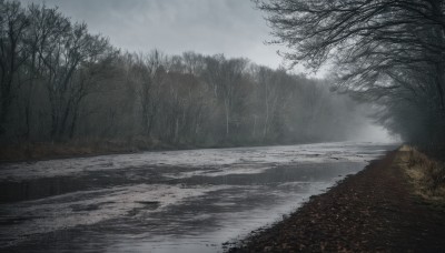 outdoors,sky,day,cloud,water,tree,no humans,cloudy sky,grass,nature,scenery,forest,bare tree,river,landscape,fog,grey sky,overcast,snow,road