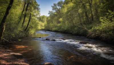 outdoors,sky,day,water,tree,blue sky,no humans,sunlight,grass,nature,scenery,forest,rock,river,landscape,stream,cloud,plant,shore