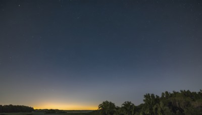 outdoors,sky,cloud,tree,no humans,night,grass,star (sky),nature,night sky,scenery,forest,starry sky,sunset,gradient sky,star (symbol),plant