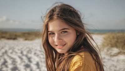 1girl,solo,long hair,looking at viewer,smile,brown hair,brown eyes,upper body,outdoors,parted lips,sky,teeth,day,looking back,grin,blurry,lips,looking to the side,depth of field,blurry background,messy hair,portrait,realistic,nose,field,cloud,blue sky