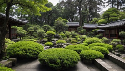 outdoors,day,tree,no humans,sunlight,grass,plant,building,nature,scenery,forest,rock,stairs,road,bush,architecture,east asian architecture,shrine,path,stone,stone lantern,real world location