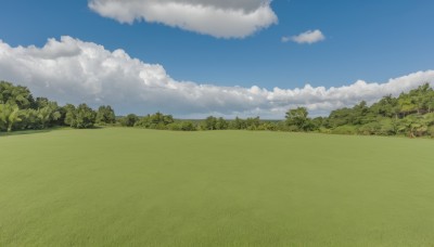 outdoors,sky,day,cloud,tree,blue sky,no humans,cloudy sky,grass,nature,scenery,forest,field,landscape,bird,hill