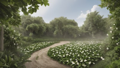 flower,outdoors,sky,day,cloud,tree,blue sky,no humans,leaf,cloudy sky,grass,plant,white flower,nature,scenery,forest,road,bush,field,landscape,path,sunlight,flower field