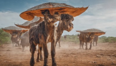 outdoors,sky,day,cloud,signature,tree,blue sky,no humans,animal,cloudy sky,scenery,walking,realistic,fantasy,horse,desert,goat,hat,standing,rock