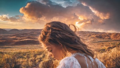 1girl,solo,long hair,brown hair,dress,jewelry,closed eyes,upper body,earrings,outdoors,sky,cloud,white dress,lips,see-through,profile,cloudy sky,grass,bug,butterfly,nature,scenery,sunset,mountain,realistic,fantasy,field,landscape