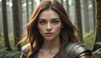 1girl,solo,long hair,looking at viewer,brown hair,brown eyes,closed mouth,upper body,outdoors,day,armor,blurry,tree,lips,eyelashes,depth of field,blurry background,shoulder armor,portrait,nature,close-up,forest,pauldrons,realistic,nose,collarbone,parted lips,teeth,sunlight,forehead,wide-eyed