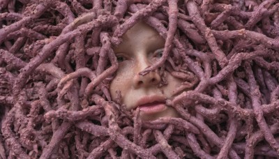 1girl,solo,looking at viewer,blue eyes,closed mouth,green eyes,lips,no humans,portrait,tentacles,realistic,too many,pink hair,close-up,alien