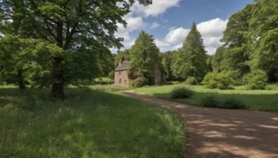 outdoors,sky,day,cloud,tree,blue sky,no humans,cloudy sky,grass,building,nature,scenery,forest,road,bush,house,path,field