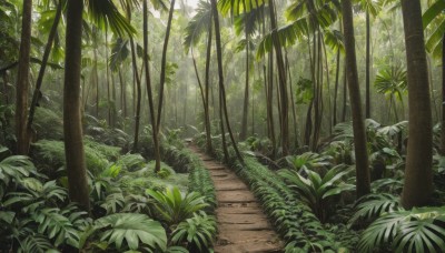 outdoors,day,tree,no humans,bird,leaf,traditional media,sunlight,grass,plant,nature,scenery,forest,rock,bush,bamboo,green theme,bamboo forest,road,path