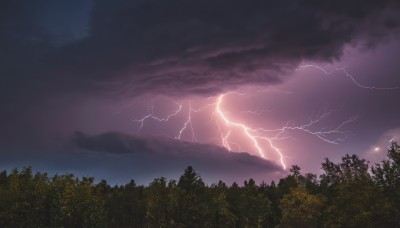 outdoors,sky,cloud,tree,no humans,night,cloudy sky,nature,scenery,forest,electricity,lightning,purple sky,night sky,dark,landscape