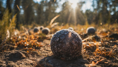 outdoors, blurry, no humans, depth of field, sunlight, scenery, realistic, planet, earth (planet)