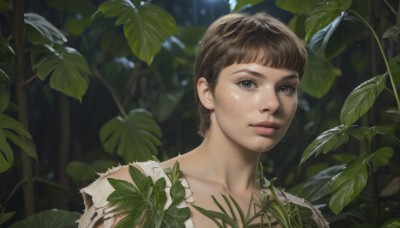 1girl,solo,looking at viewer,short hair,bangs,brown hair,brown eyes,closed mouth,collarbone,upper body,outdoors,day,blurry,lips,torn clothes,leaf,plant,portrait,nature,forest,freckles,realistic,nose,very short hair,blue eyes,blunt bangs,depth of field,blurry background,vines,dirty,dirty face,moss