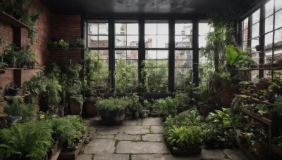 outdoors,day,cloud,indoors,tree,no humans,window,plant,building,scenery,potted plant,ruins,flower pot,overgrown,flower,wall,brick wall