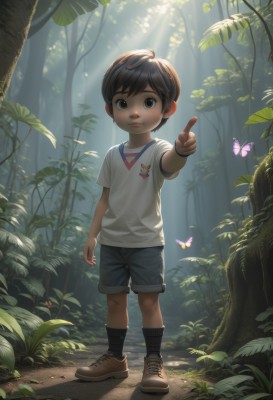 solo,looking at viewer,short hair,brown hair,shirt,1boy,brown eyes,standing,full body,white shirt,short sleeves,male focus,outdoors,shoes,shorts,day,socks,tree,leaf,brown footwear,sunlight,bug,plant,pointing,black socks,t-shirt,butterfly,sneakers,child,nature,forest,light rays,male child,sunbeam,ladybug,blush,black hair