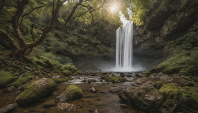 outdoors, day, water, tree, no humans, sunlight, nature, scenery, forest, rock, river, waterfall, stream