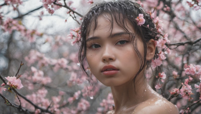 1girl, solo, looking at viewer, short hair, black hair, hair ornament, bare shoulders, flower, outdoors, parted lips, blurry, black eyes, lips, depth of field, blurry background, cherry blossoms, portrait, freckles, realistic, nose, branch