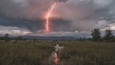 1girl,solo,long hair,black hair,dress,standing,outdoors,sky,cloud,white dress,tree,cloudy sky,grass,fire,nature,scenery,forest,electricity,field,wide shot,lightning,overcast,japanese clothes,kimono,from behind,landscape