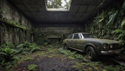 outdoors,day,tree,no humans,window,leaf,sunlight,plant,ground vehicle,nature,scenery,motor vehicle,forest,car,ruins,vehicle focus,moss,overgrown,broken window,grass,vines,broken glass,sports car